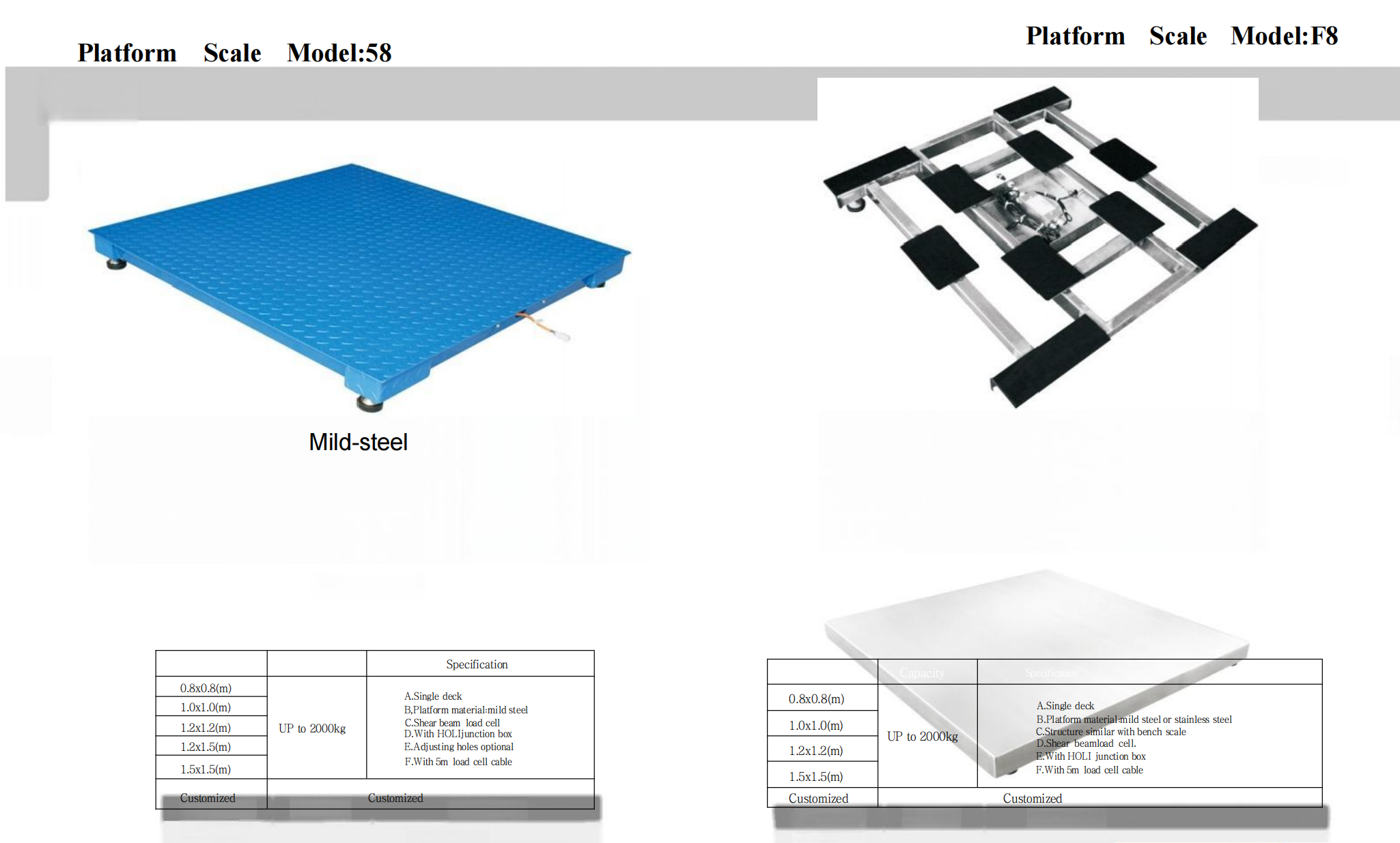Platform scale module