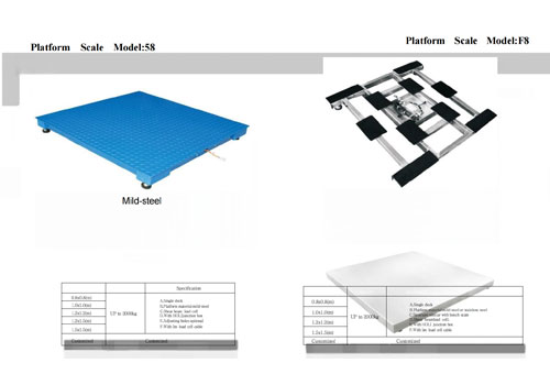 Platform scale module